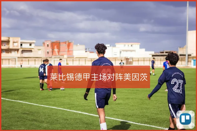 莱比锡德甲主场对阵美因茨