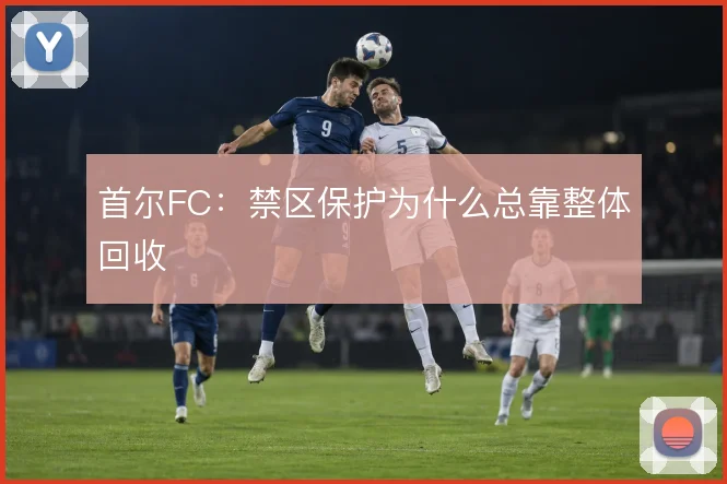 首尔FC：禁区保护为什么总靠整体回收