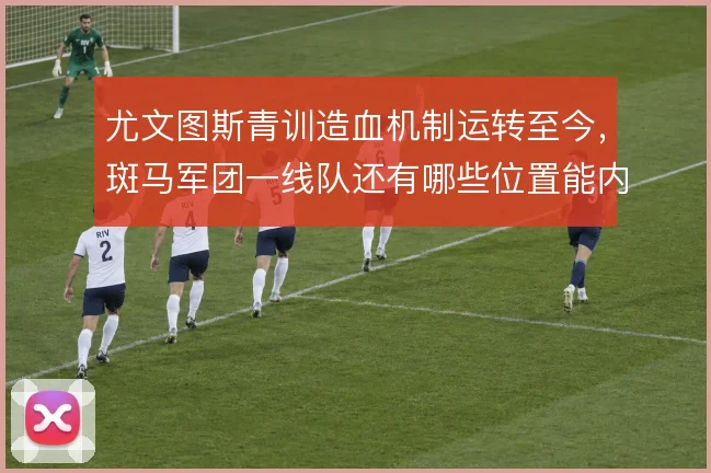 尤文图斯青训造血机制运转至今，斑马军团一线队还有哪些位置能内部挖潜