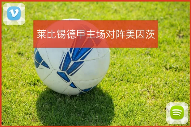 莱比锡德甲主场对阵美因茨